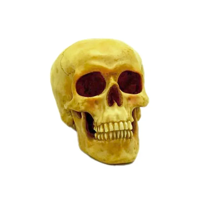 6″ Skull