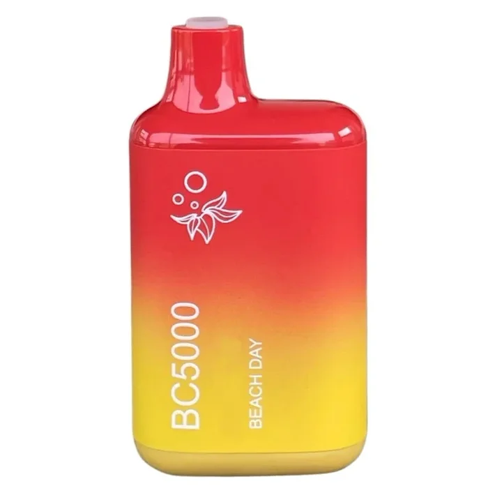 Beach Day – BC5000 – EBCreate