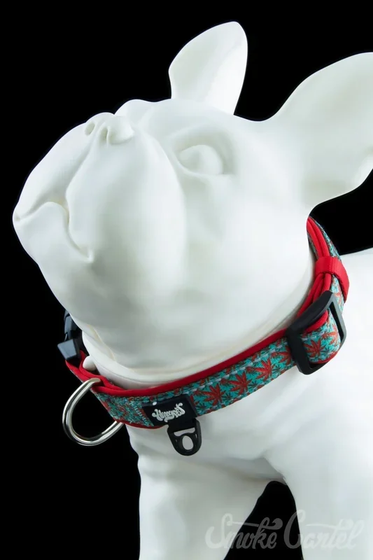 HeadyPet Collar V2