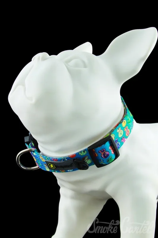 HeadyPet OG Collar